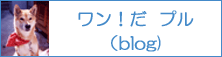 ワン！だ　プル