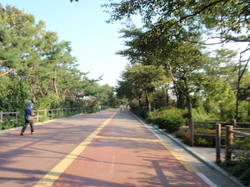 2012年