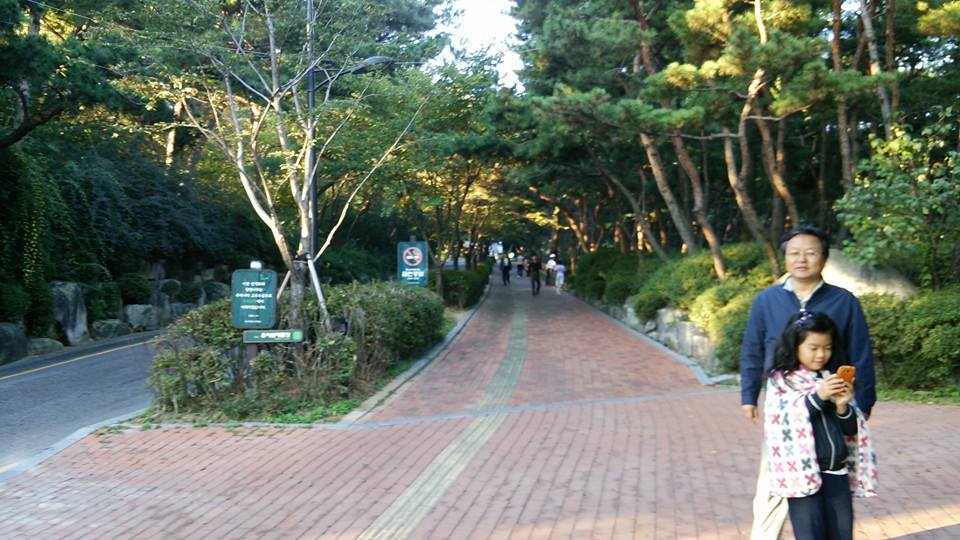 2014年