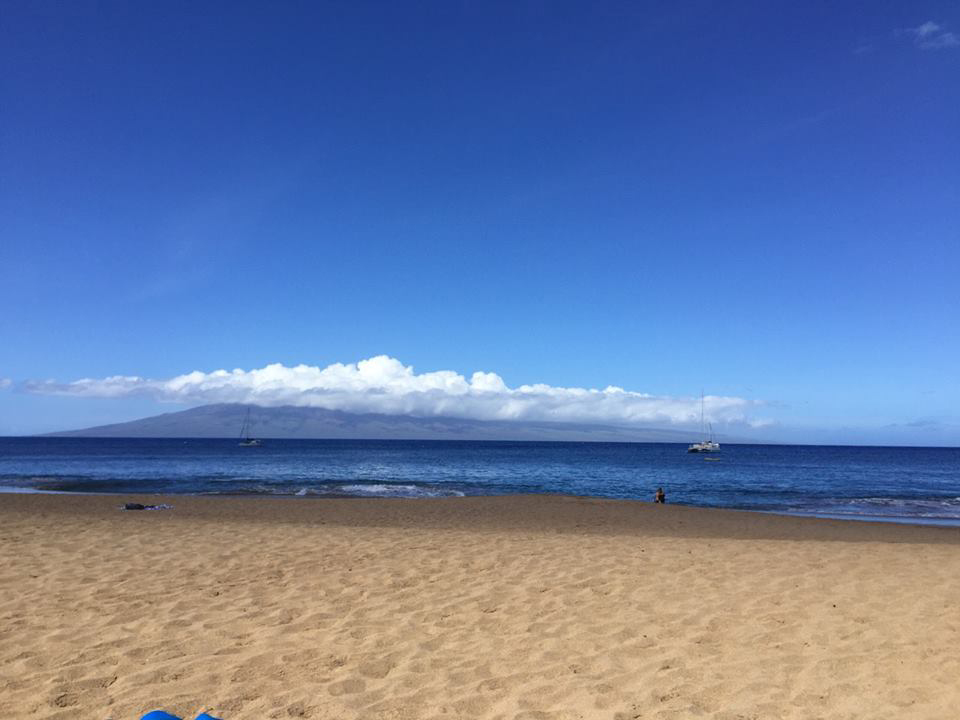 2015年